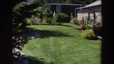 Washington (1964): Old Recording Of A Garden In The Summer With Flowers