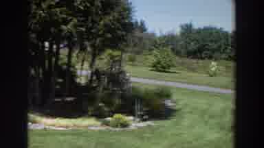 Washington (1964): Video Of Green Mowed Grass And A Bird Flying By