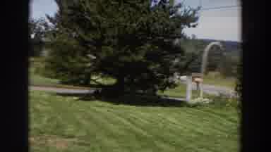 Washington (1964): A Large Green Garden On A Sunny Day With A Small Animal Which
