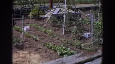 Washington (1964): Small Garden Rows Greens Herbs Plowed Field Irrigation Tower