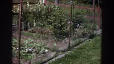 Washington (1964): Close Up Of Bird In Garden Area And Long Range View Of Garden