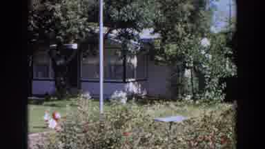 Washington (1964): Flower In The Garden Video