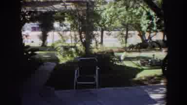Washington (1964): How To Make Your Backyard A Relaxing Place To Sit And Enjoy The