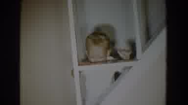 Fallston Maryland (1965): Little Baby Crawling Up Stairs And Smiling At Camera