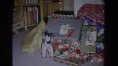 Fallston Maryland (1965): The Preparations For The Christmas The Tree And The