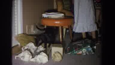 Fallston Maryland (1965): Black Cat Peeps From Underneath Orange Stool Near Green