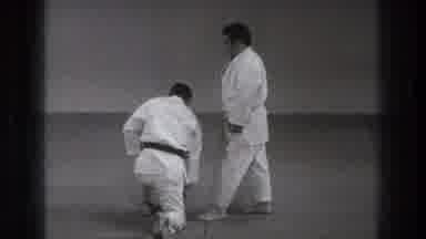 Tokyo Japan (1971): A Martial Artists Gets Up Off A Mat And Moves To Stand In