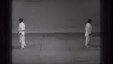Tokyo Japan (1971): Main Pointers in Martial Arts