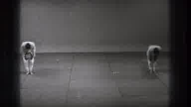 Tokyo Japan (1971): Start Of A Fight â Two Men Bowing