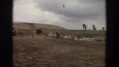 Irvine California (1974): Lawn Country Animal Park Livestock Farm Sight Exhibit