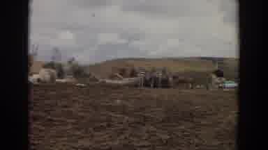 Irvine California (1974): View Of Thompson Gazelles Walking In Field On A Clear