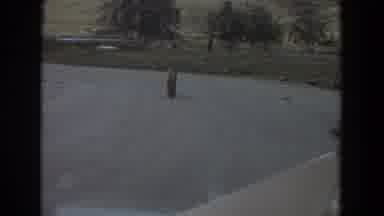 Irvine California (1974): Lion Cub And Rhinos Eating