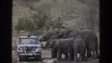 Irvine California (1974): The Video Shows An Expedition In Africa With Elephants