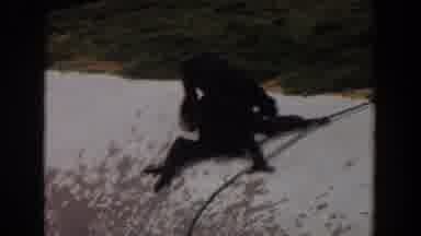 Irvine California (1974): Black Monkey Holds Thin Grey Rope On A Clear Day