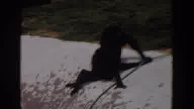 Irvine California (1974): Two Dark Monkeys With Long Arms Searching For Some