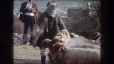 Bethlehem Israel (1976): Man Wearing Grey Coat Walks With White And Brown Sheep On