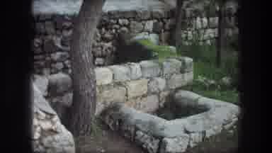 Bethlehem Israel (1976): Ancient Stone Structure With Grass Trees And Moss Growing