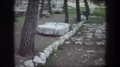 Bethlehem Israel (1976): Rocky Terrain With Some Trees And Little Grass