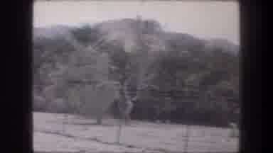 Bethlehem Israel (1976): Old Video Of Landscape With Trees Small Spare Bushes