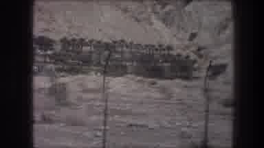 Bethlehem Israel (1976): Old Video Of Telephone Lines And Treeline