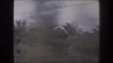 Bethlehem Israel (1976): Getting A Great View Of Palm Trees While Taking A Long