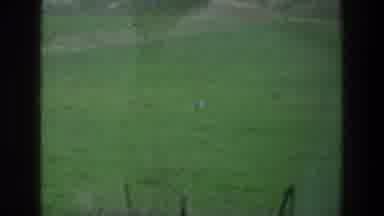 Jacobs Well Jerusalem Israel (1976): A Lawn With Animals And Plants And A Dirt