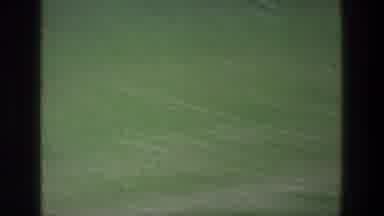 Jacobs Well Jerusalem Israel (1976): Animals In A Green Field Near While Passing