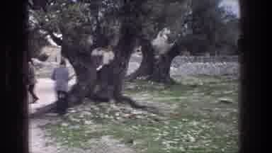 Jerusalem Israel (1976): People Walking And Talking In A Beautiful Park With