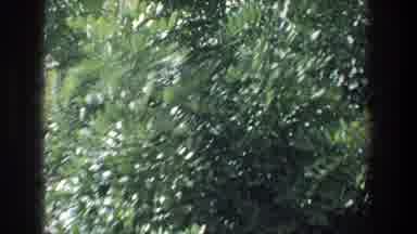 Jerusalem Israel (1976): Shaky Old Footage Of Person Walking Toward Some Green