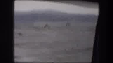 Messada Israel (1976): Camels On Desolate Terrain With Background Hills Seen