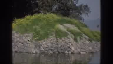 Sea of Galilee Israel (1976): Vine Of Flowers Growing On A Gate And A Rocky Hill