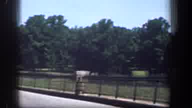 Washington DC (1961): A Car Is Moving On A Road With Grasses On Both Sides Of Road
