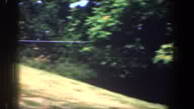 Washington DC (1961): Approaching View Of Green Trees Grass And Yellow Building On