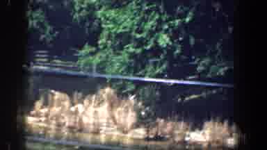 Washington DC (1961): Passing View Of Pond And Green Trees On A Sunny Day