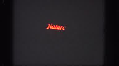 Georgia (1951): View Of Red Illuminated Nature Sign On A Clear Evening