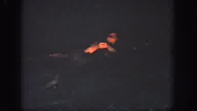 Georgia (1951): Woman Doing Swimming Exercises Inside A Pool In The Dark