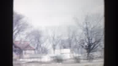 Grand Rapids Michigan (1956): View Of Houses And Bare Trees On A Clear Day
