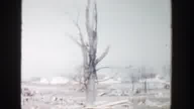 Grand Rapids Michigan (1956): On A Vast Land There Are Logs And Lumbers Lumbers