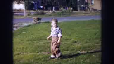 Nebraska (1956): Toddler Boy Plays In The Garden And Falls Down A Small Hill