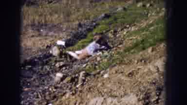 Nebraska (1956): Walking Little Boy Explores And Plays