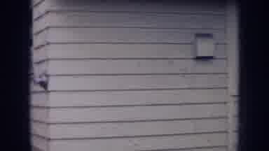 Nebraska (1956): House Home Front Door Porch Steps Man Boy Walking Along River