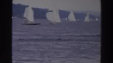 Wisconsin (1966): Sailboats With Spinnakers Deployed Race Around Bay While