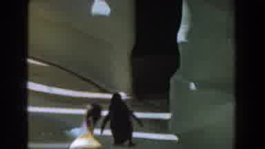 Burbank California (1961): A Penguin Waddling Up A Hallway Walking Past Other