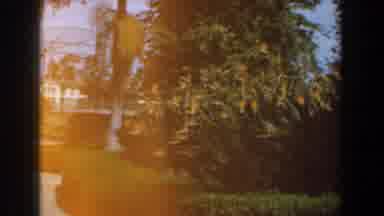 Burbank California (1961): Tree Plum Flower Bush Green Wall House Clean Organized