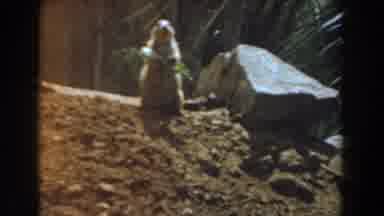 Burbank California (1961): Squirrel Eating His Lunch Having A Great Time Relaxing