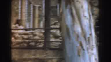 Burbank California (1961): Cheetah Sleeping On Tree Branch Behind A Fence In A Zoo