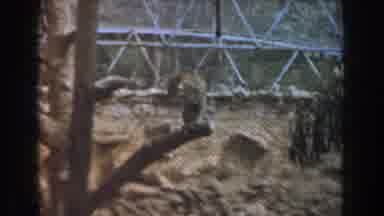 Burbank California (1961): Area Apparently Similar To A Cage Where There Is A