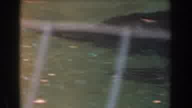 Burbank California (1961): Old Footage Of A Zoo Featuring A Tiger And Two Dolphins