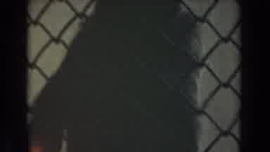 Burbank California (1961): Chimpanzee In Cage Lounging On A Branch And Scratching