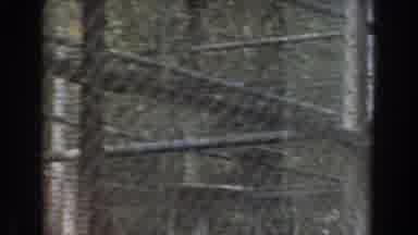 Burbank California (1961): Chimpanzee In The Cage